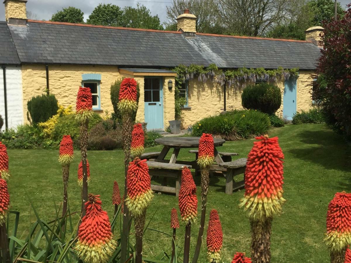 Charming Welsh Cottage Johnston Bagian luar foto